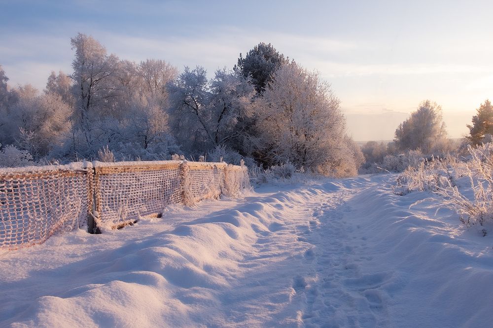Фотография автора Наталья Липовская