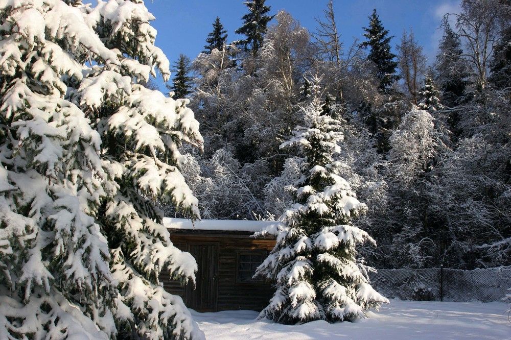 Фотография автора Станислав