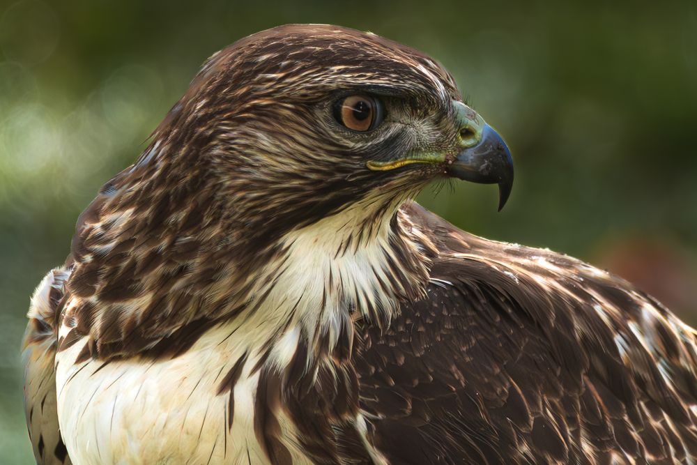 Photograph by RyanCarterMedia