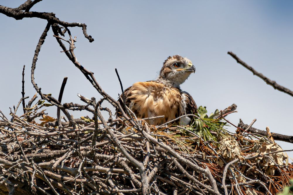 Photograph by RyanCarterMedia