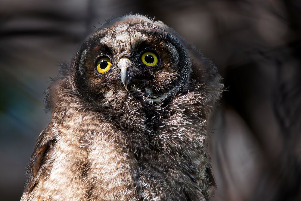 Photograph by RyanCarterMedia