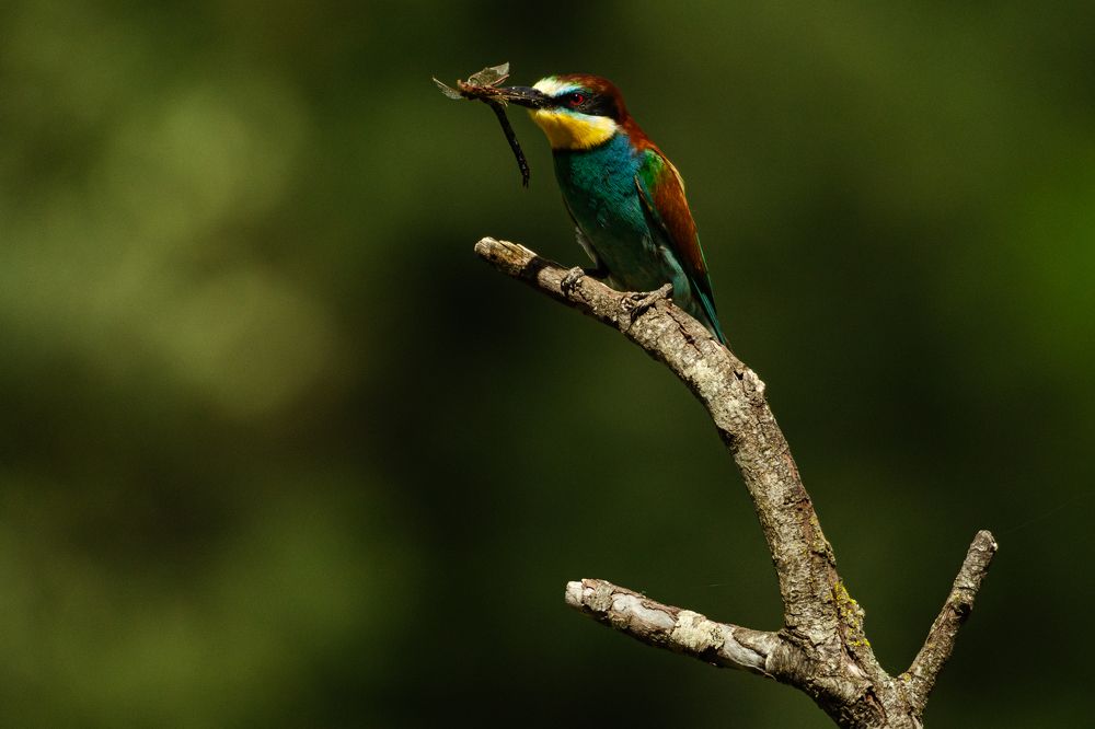 UNA PARADA EN EL CAMINO