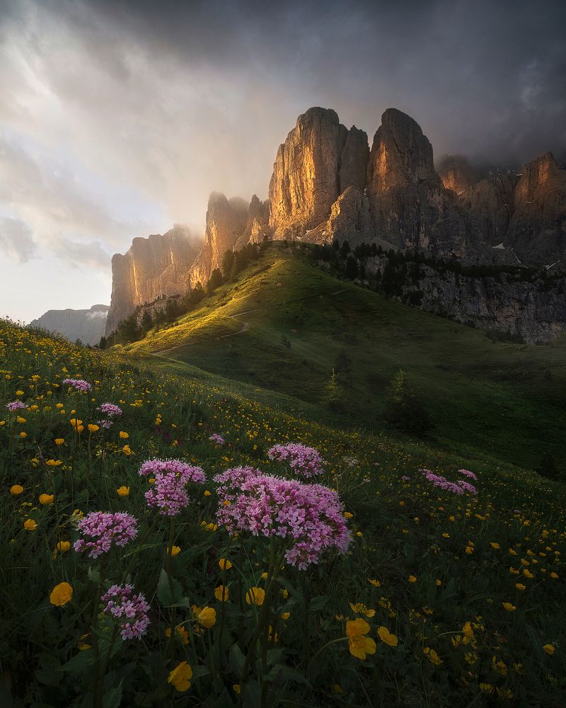 Summer in the Dolomites