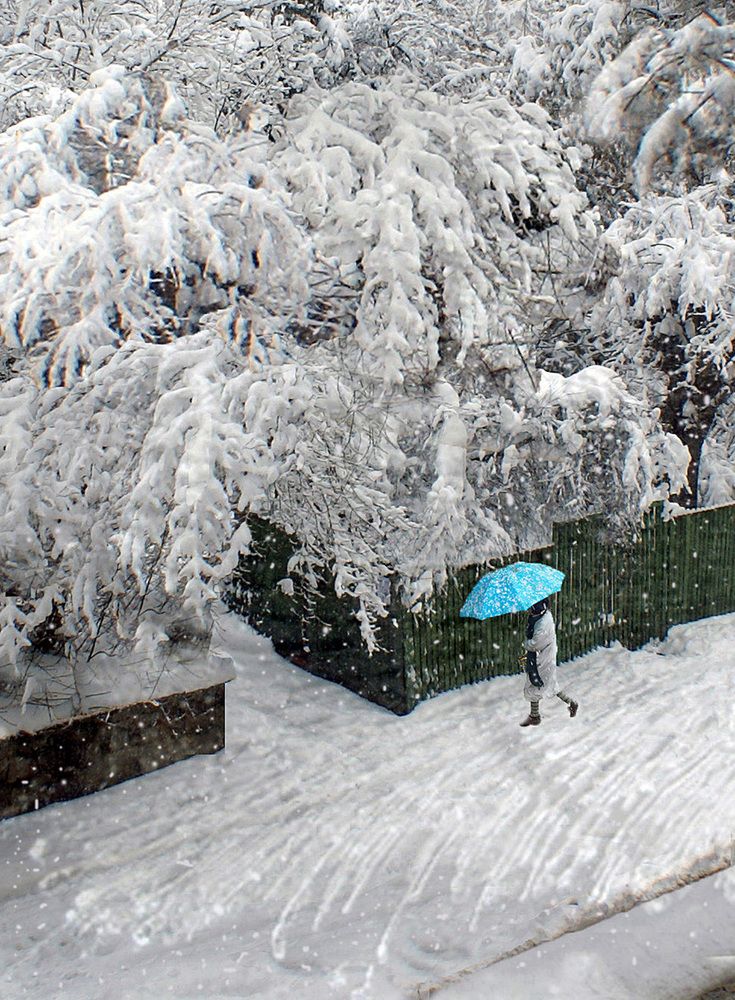 Фотография автора Penka Berberova