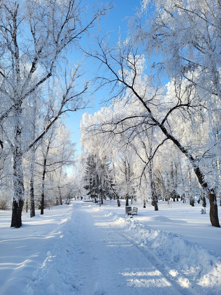 Photograph by Svetlana Korogod