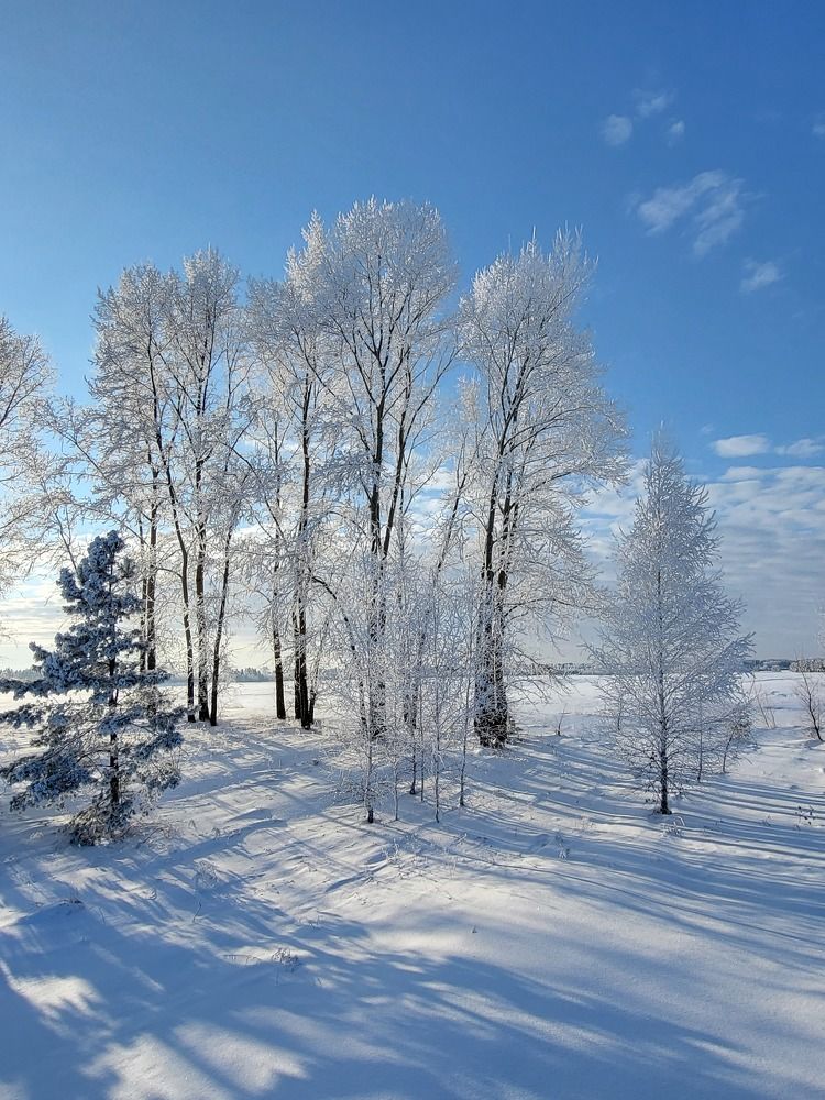 Photograph by Svetlana Korogod