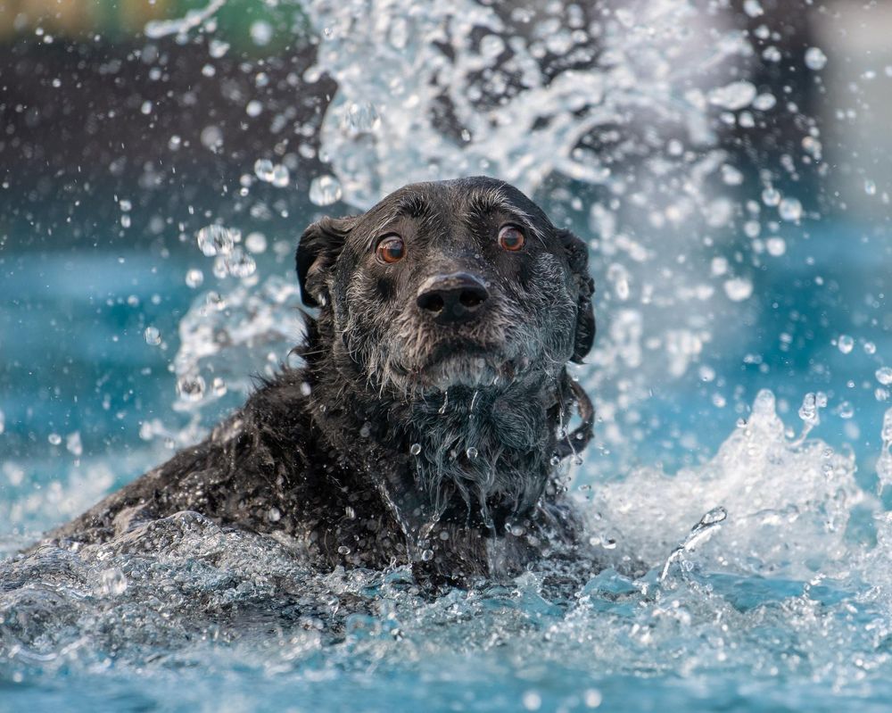 Photograph by Janet Williams