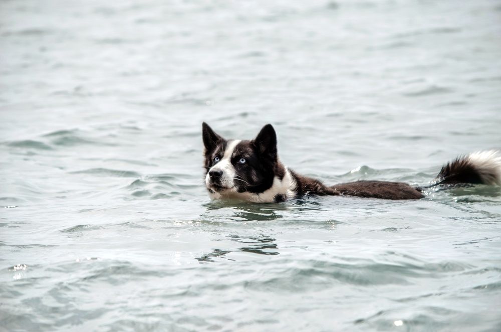 Photograph by Вероника Романенко
