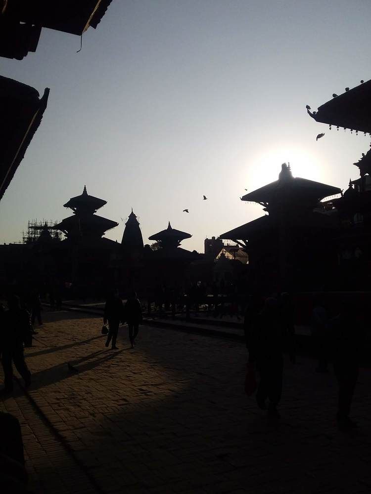 Photo #11751436