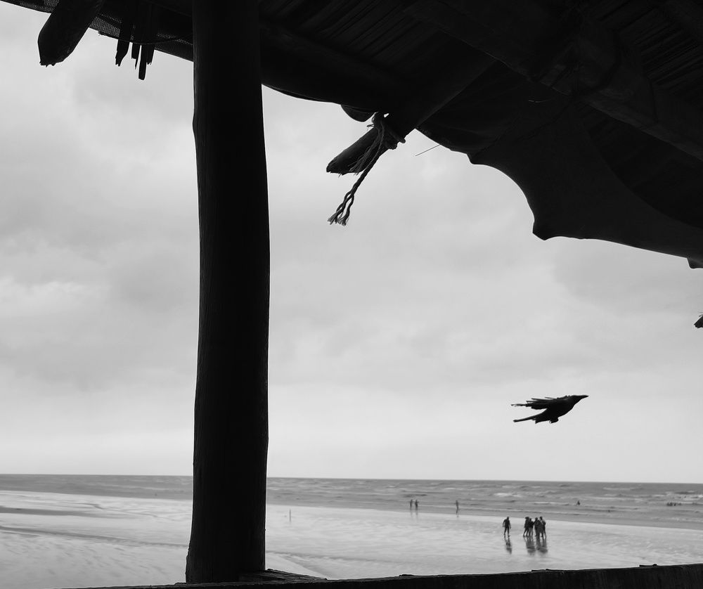 Фотография автора Saptaparna Mukherjee