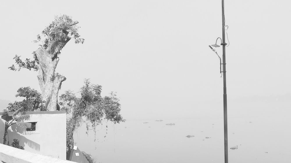 Фотография автора Saptaparna Mukherjee