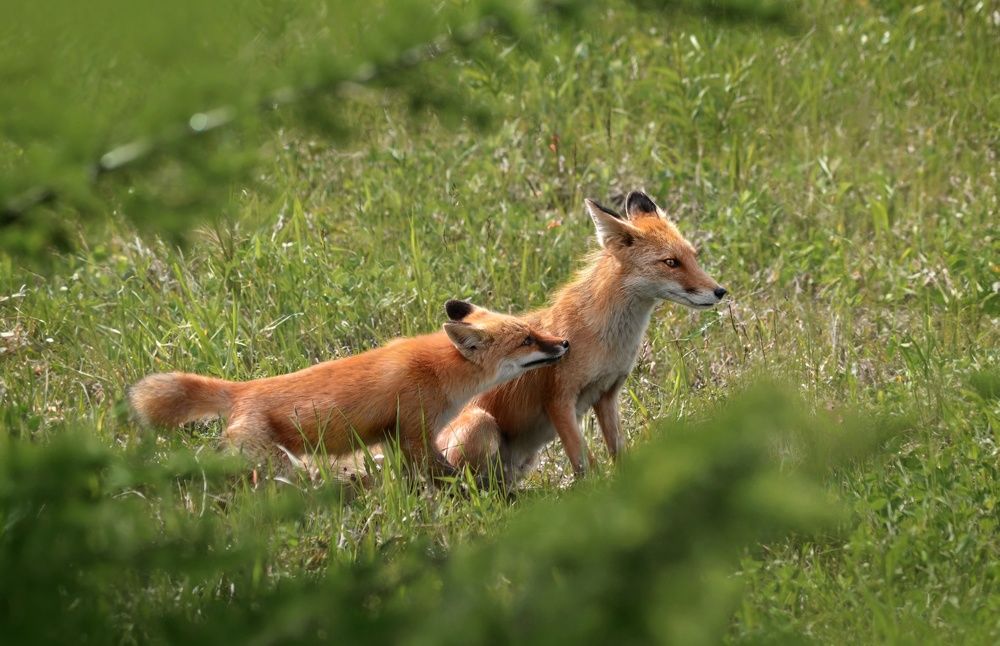 Photograph by Вероника Романенко