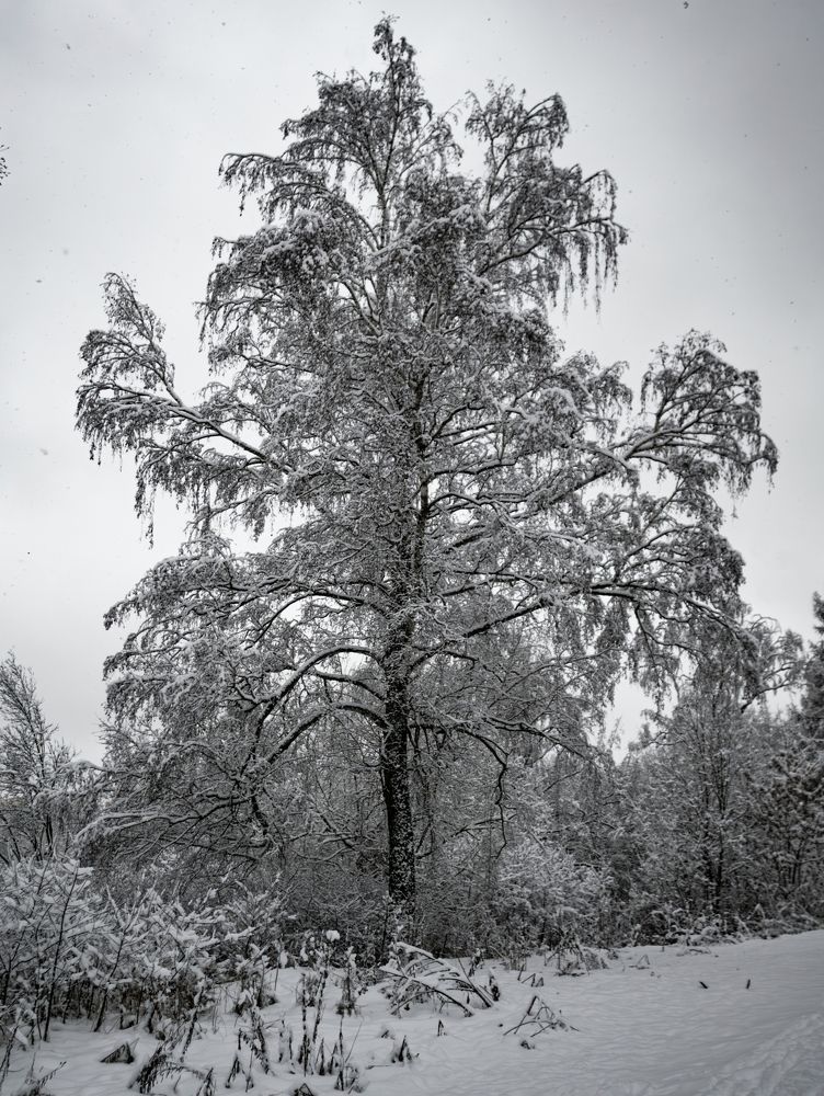 Фотография автора Юрий Володин