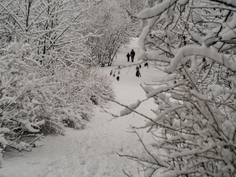 Фотография автора Юрий Володин