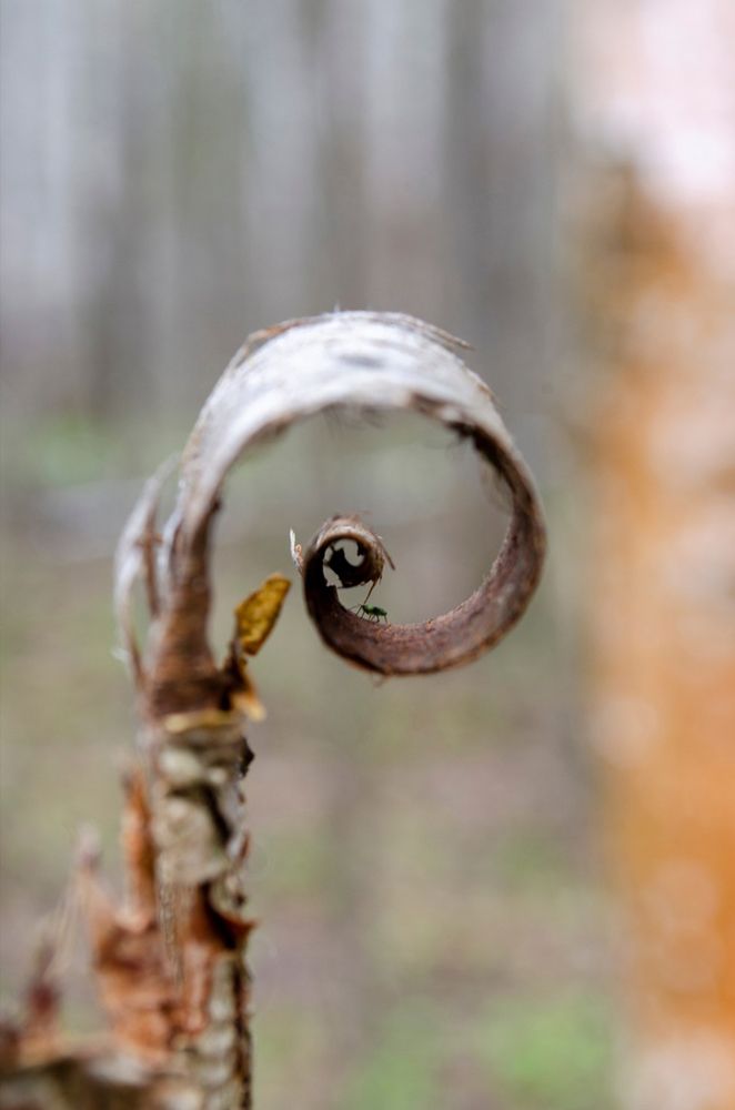 Photograph by Любовь Бусова