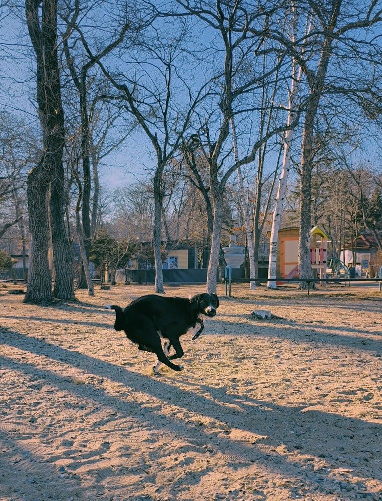 Photograph by Andrey Matveenko