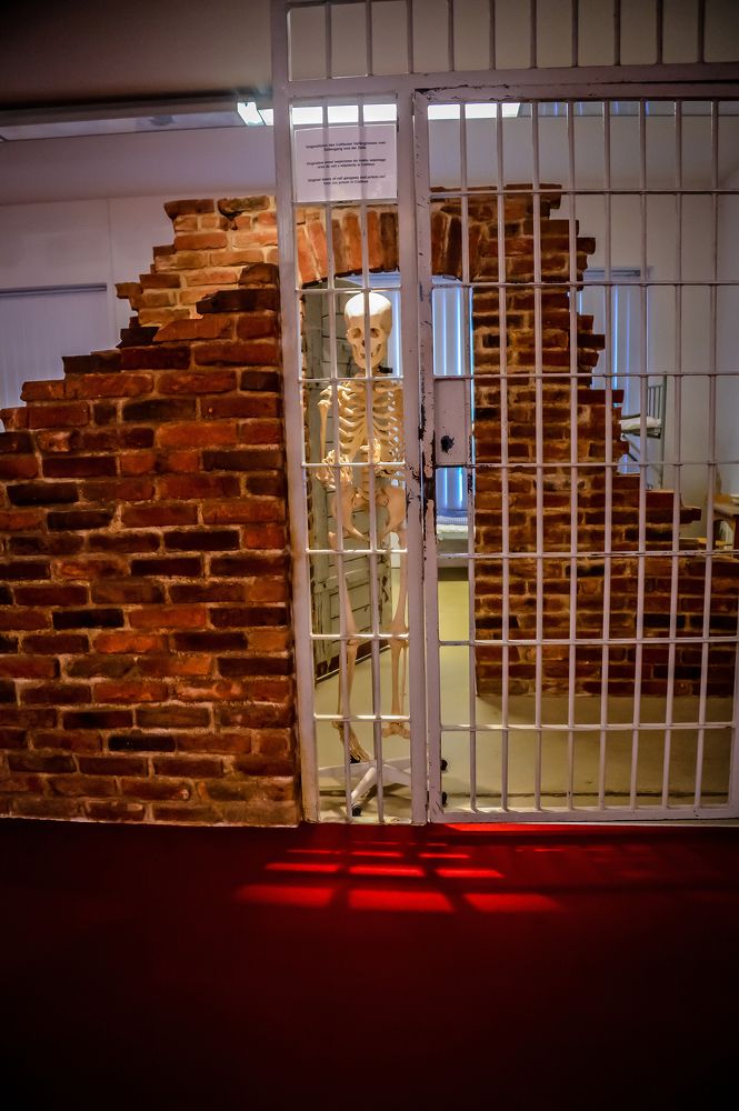 Фотография автора arkadii Anufriev