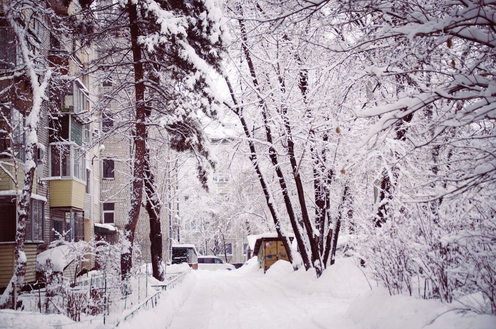 Photograph by Александр Раков