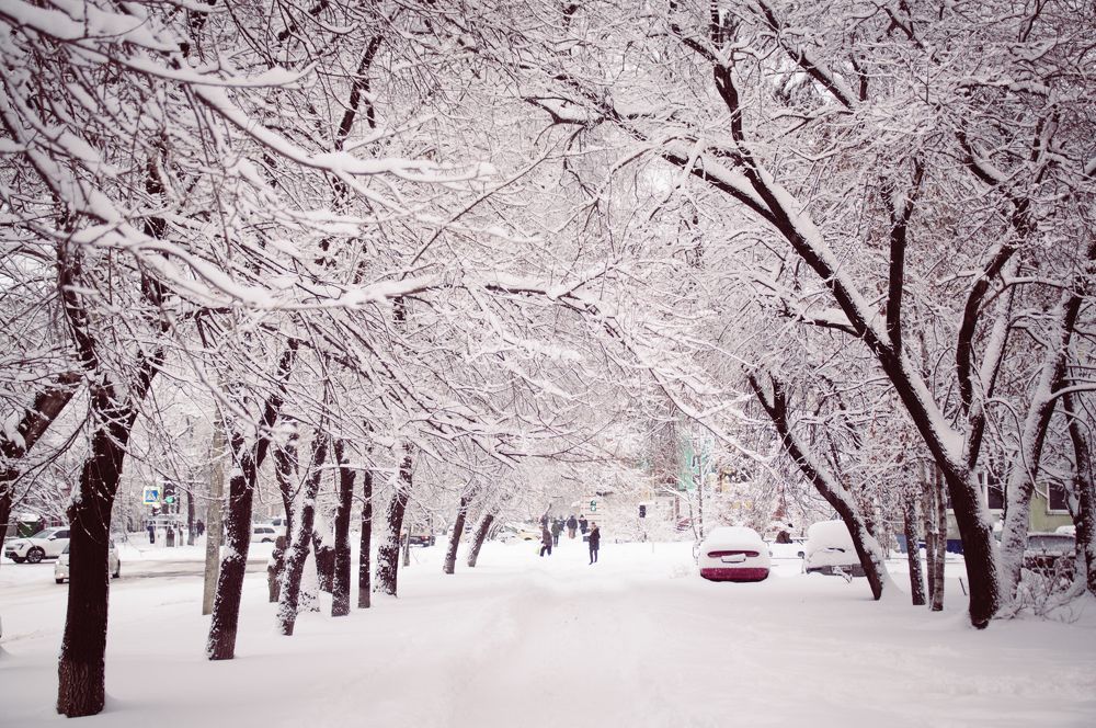 Photograph by Александр Раков