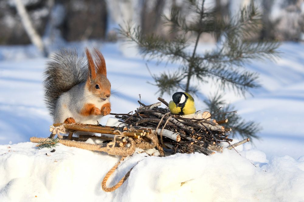 Photograph by Елена Гасенко