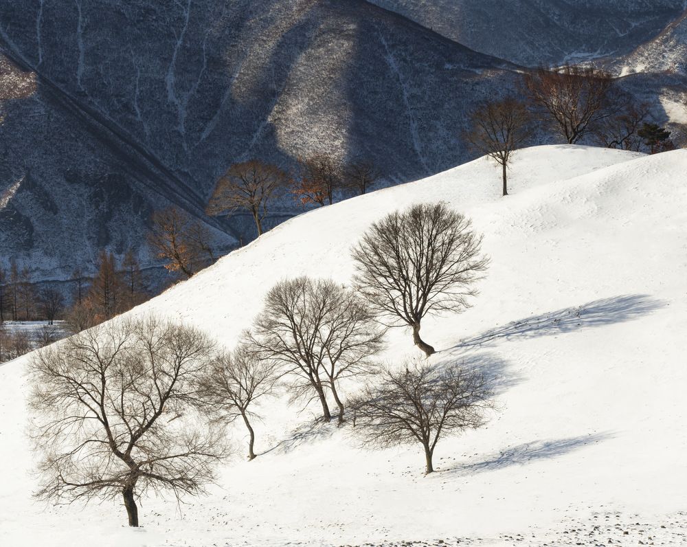 Photograph by Chiranjib Chakraborty