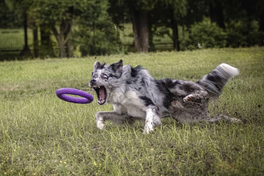 Фотография автора Наталия