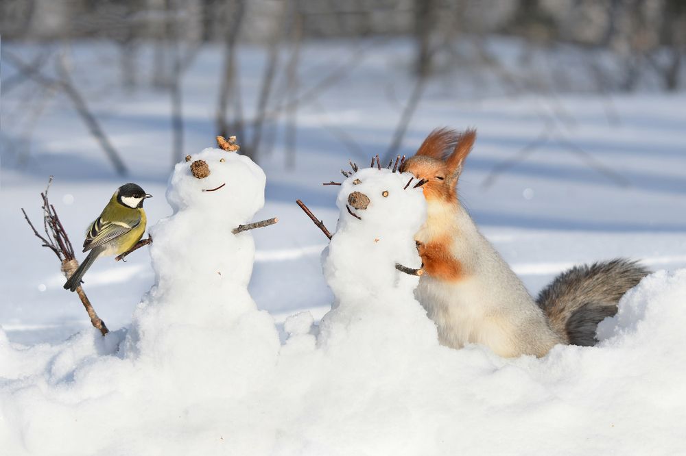 Photograph by Елена Гасенко