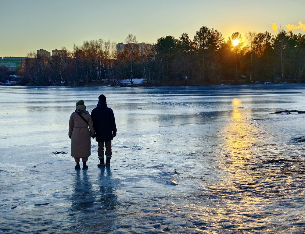 Вечное сияние чистого разума