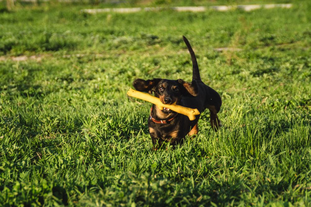 Фотография автора Дарья Обидина