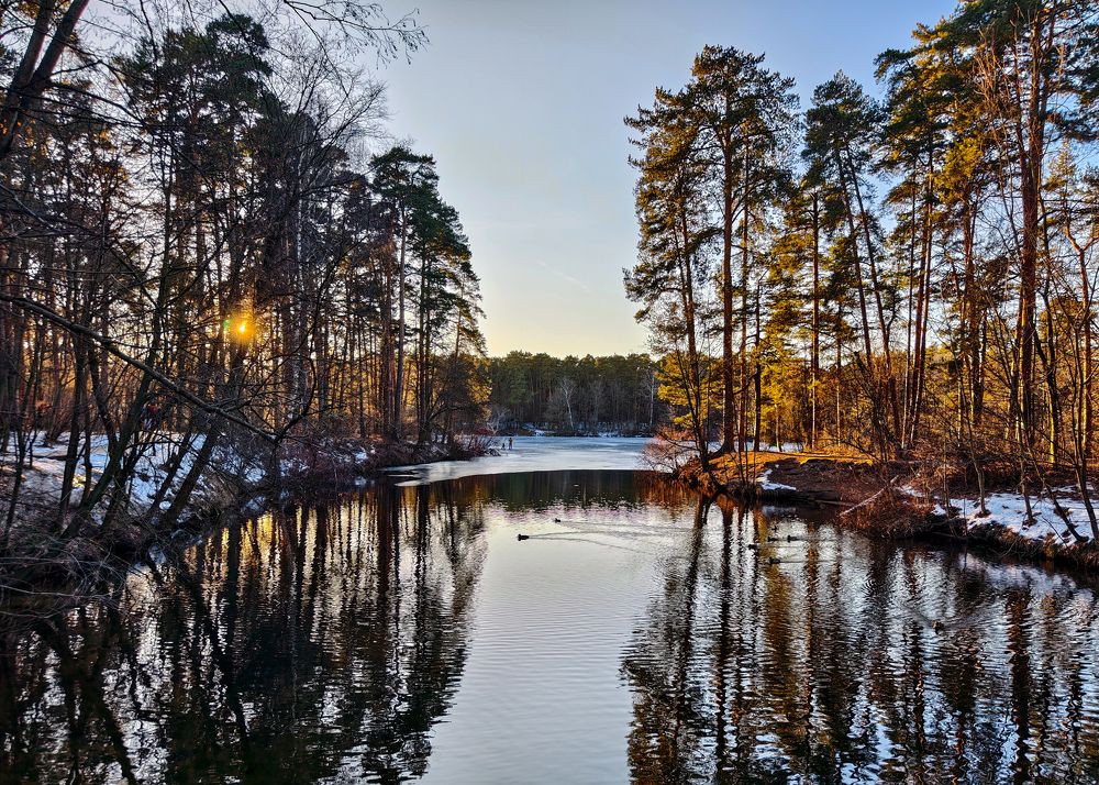 Нежность зимы