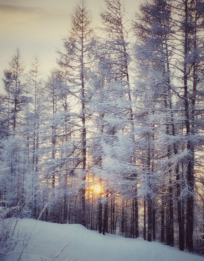 Photograph by Ирина