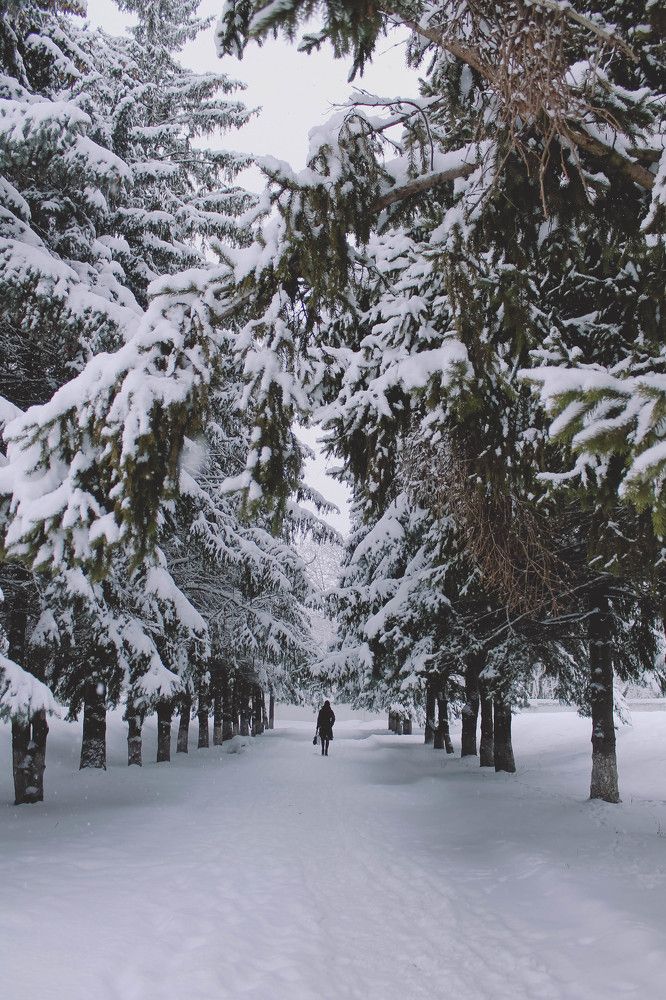 Photograph by Элиза