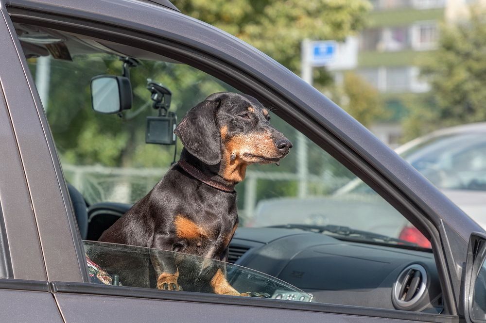 Photograph by Анатолий Чесноков