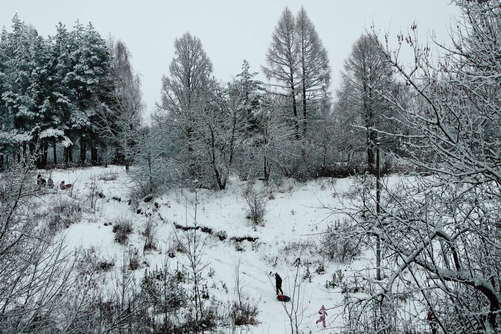 Photograph by Элиза