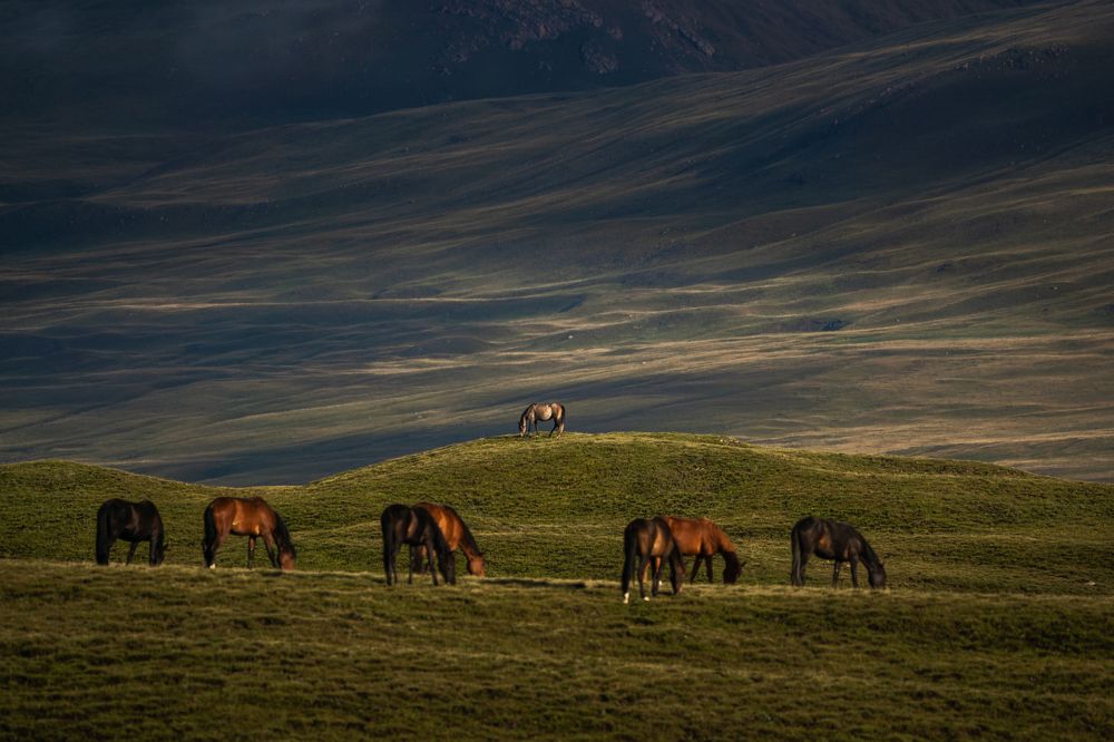 Photograph by Мерсон Евгений