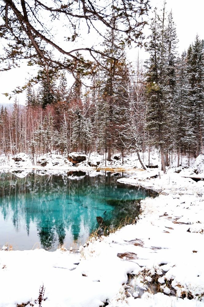 Photograph by Полина Котегова