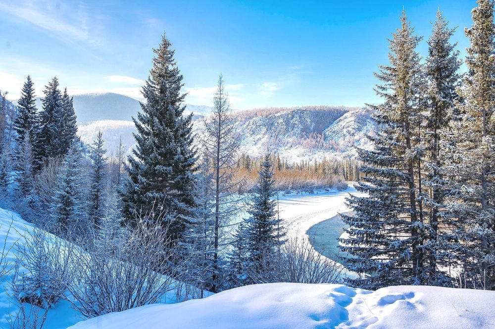 Photograph by Полина Котегова