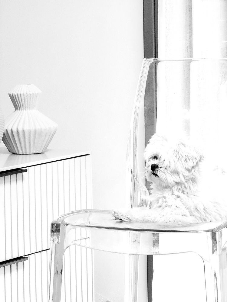 Photograph by esti lahat