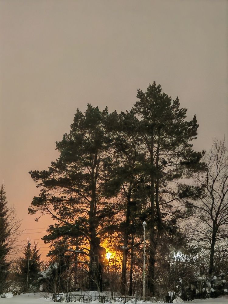 Photograph by Наталья Сидорова