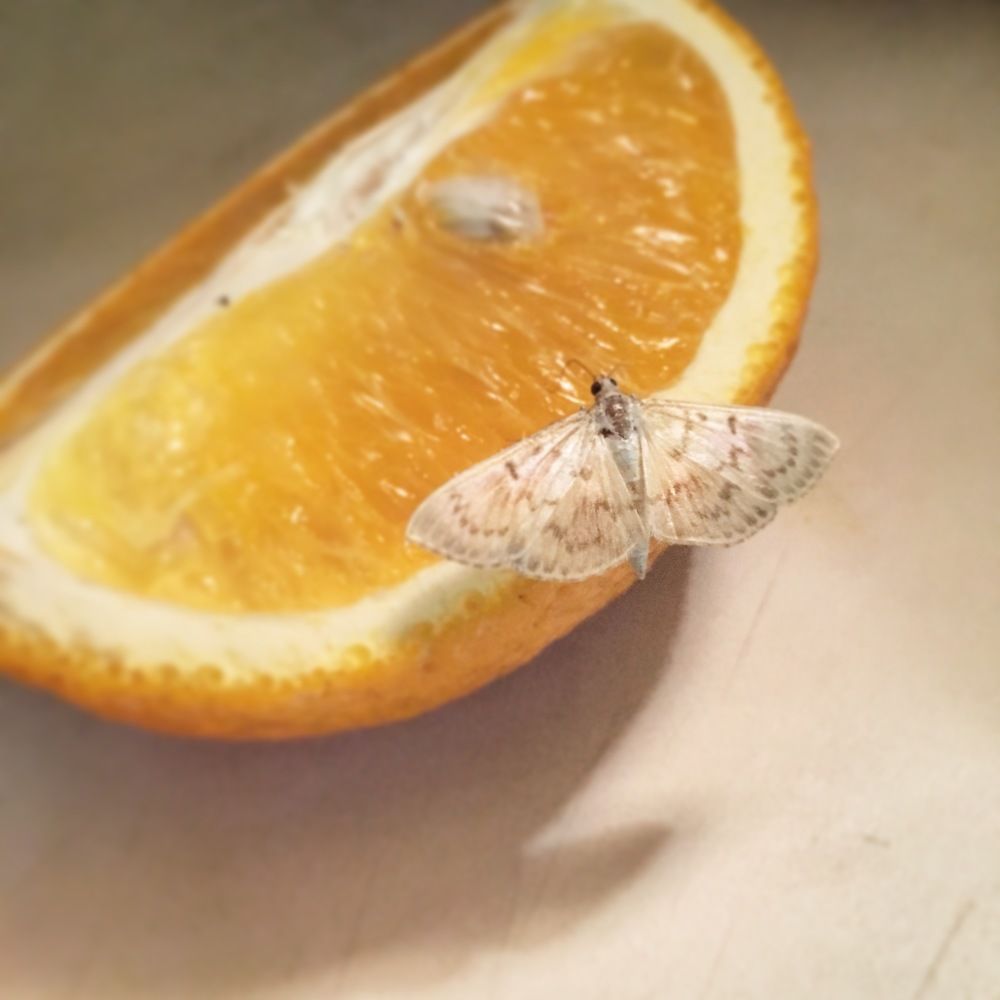 Photograph by Георгий Рысь