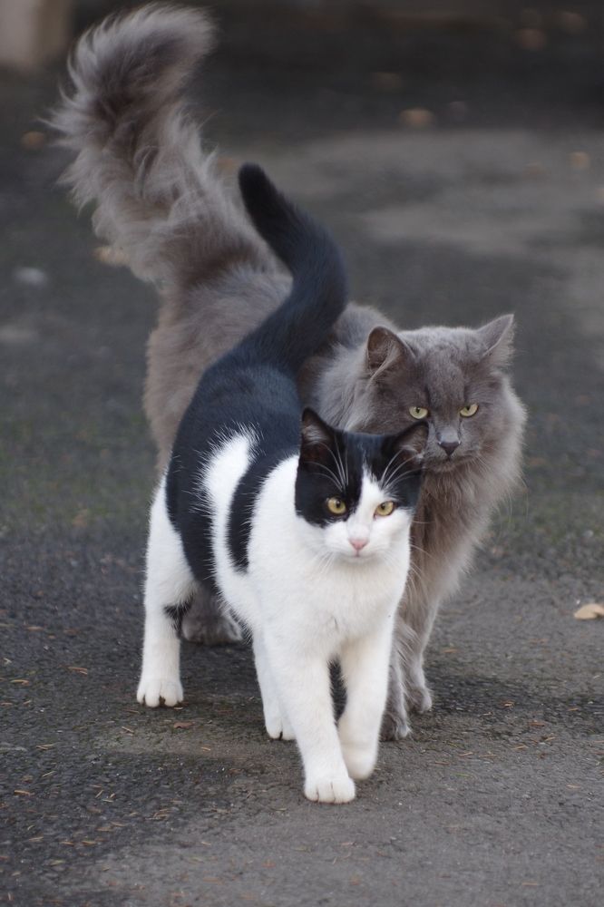 Photograph by Галина Григорьева