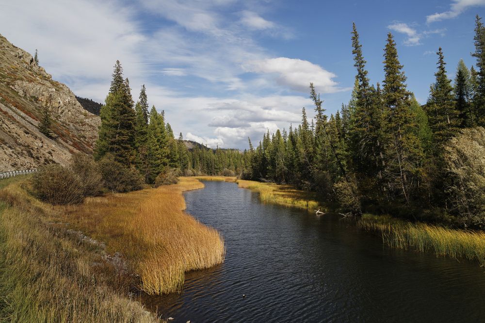Photograph by виктор ковчин