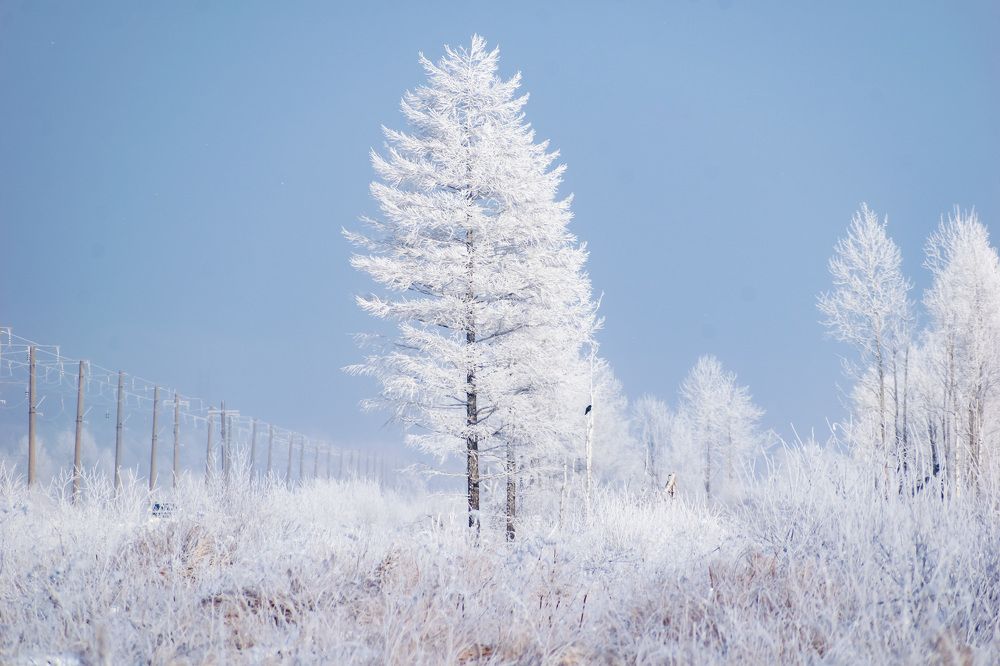 Photograph by Irina Luidinshina