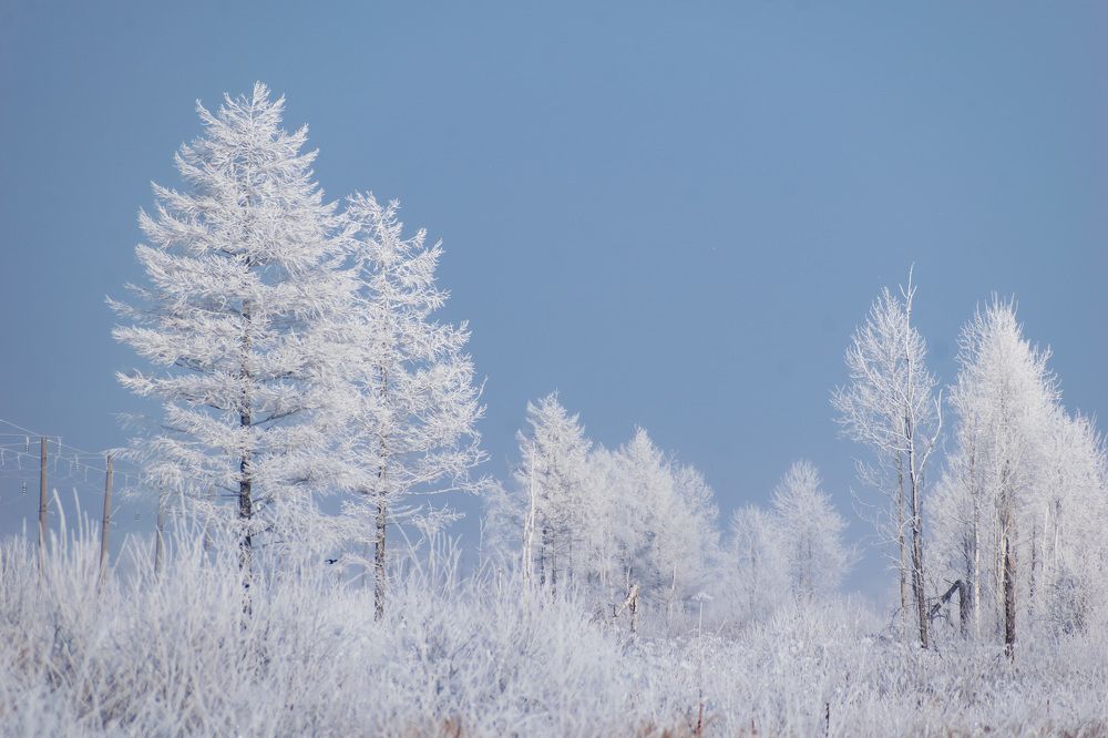 Photograph by Irina Luidinshina