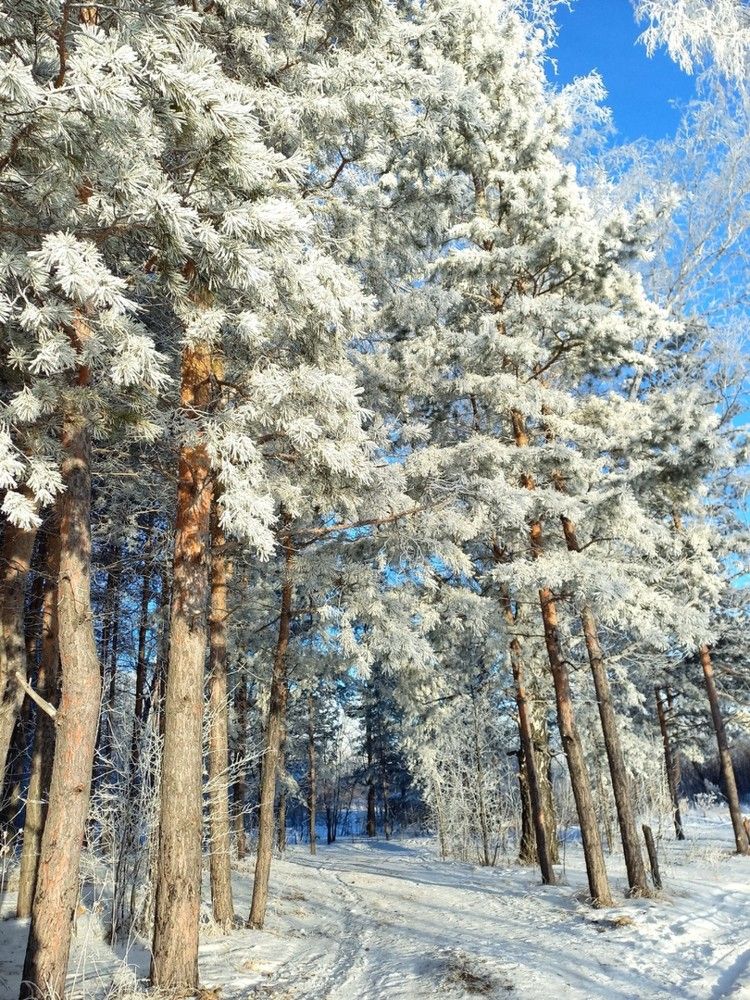 Фотография автора Наталья Крутицких