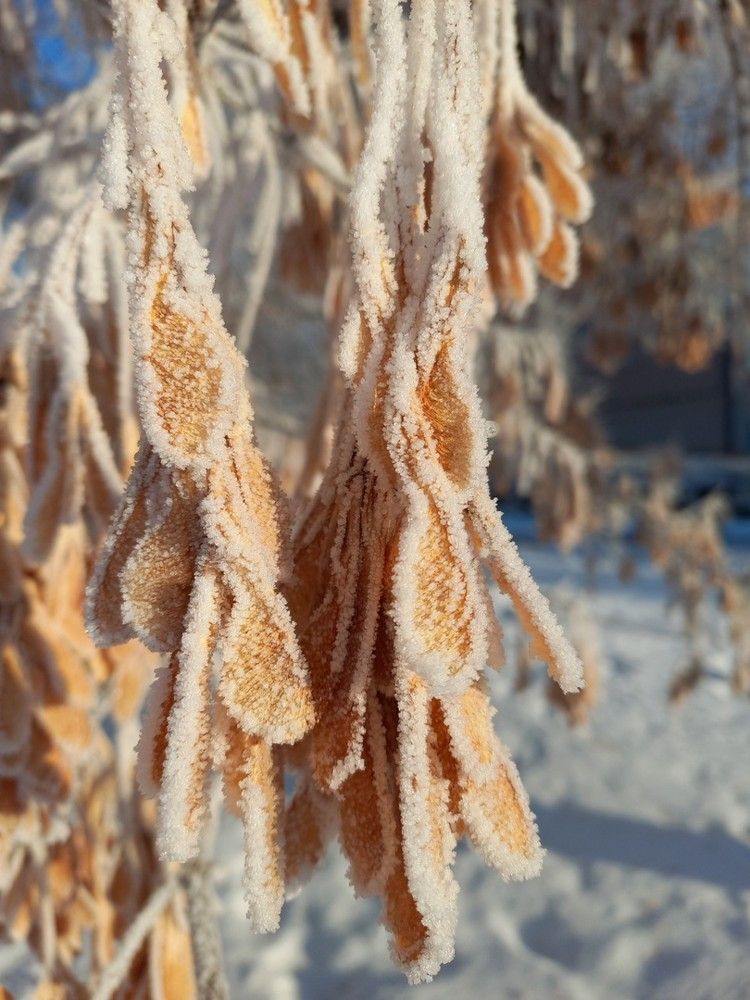 Фотография автора Наталья Крутицких