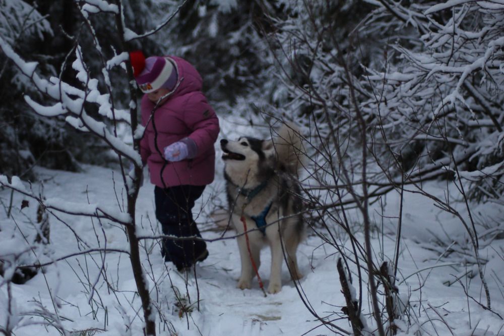 Photograph by Елена Наленч