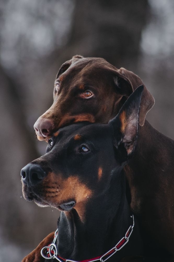 Photograph by Мария Клещенко