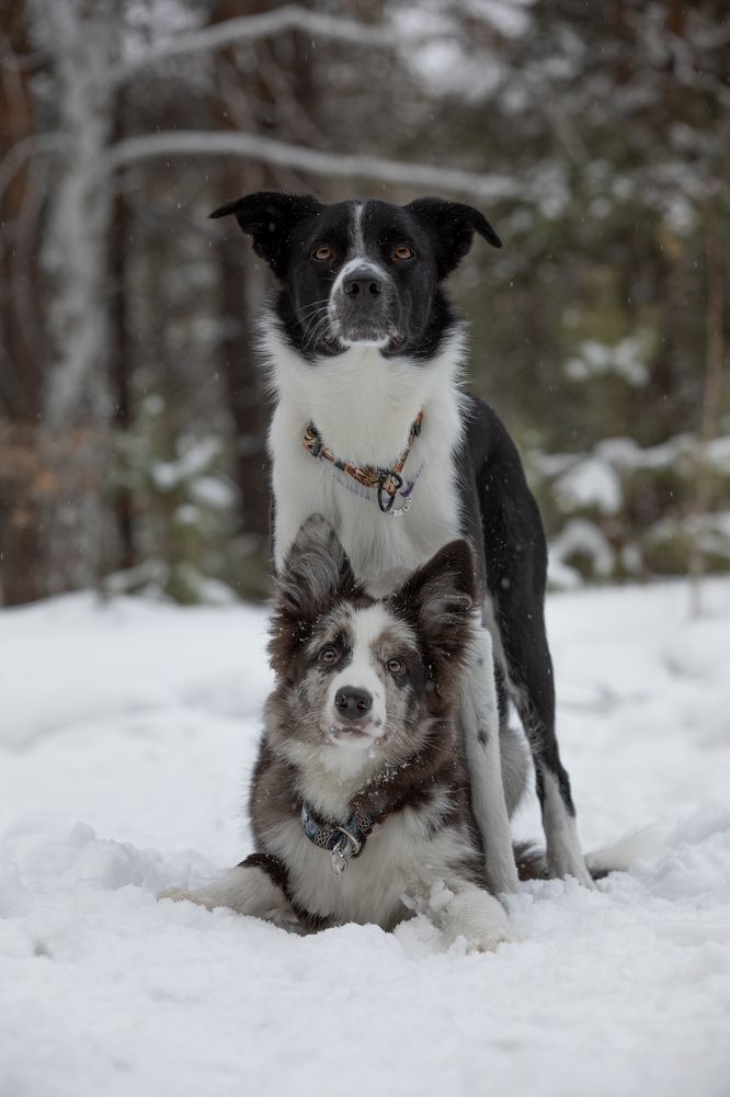 Photograph by Татьяна Арендаренко