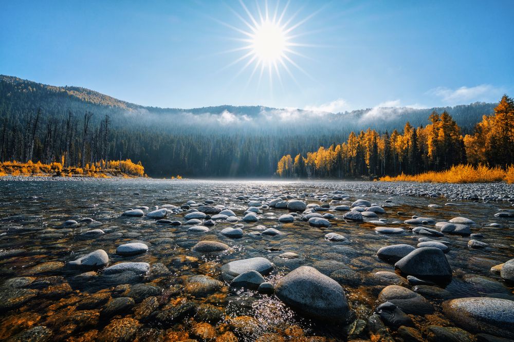 Солнечное утро на таежной реке